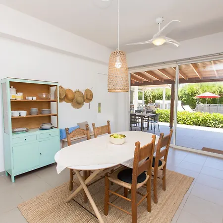 Danae 아이아 나파