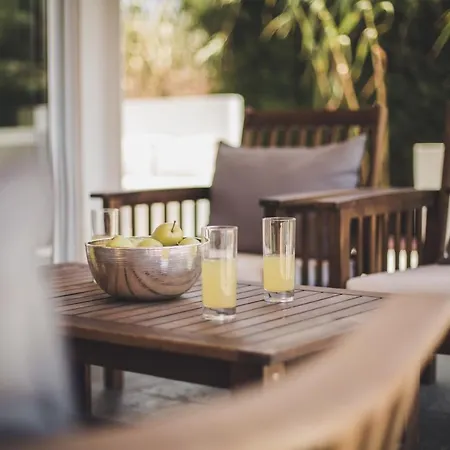 Danae 아이아 나파